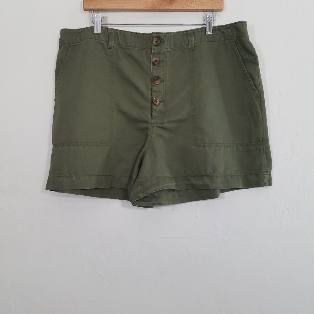 LOFT Linen/Cotton Olive Green Button Fly Shorts Size 18
